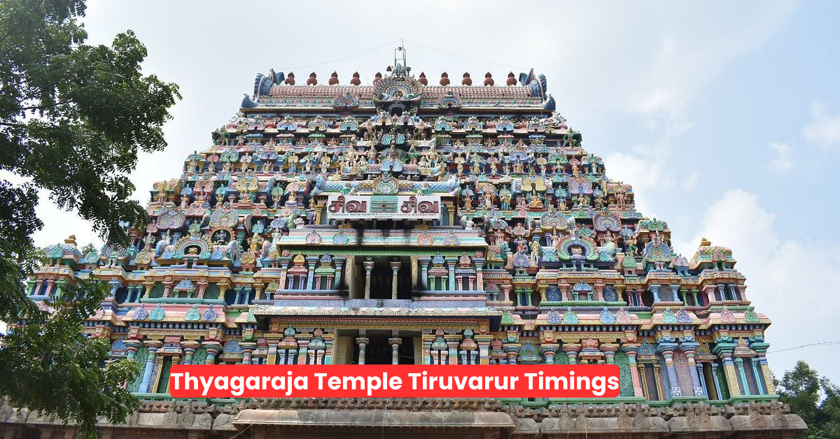 Thyagaraja Temple Tiruvarur Timings